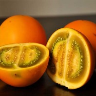 La nraanjilla 写真4