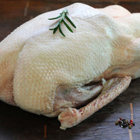 ガチョウ肉の写真