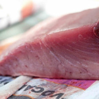 マグロの写真 4