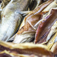 干物・乾物写真2