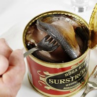 Surrstremming 4の写真
