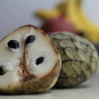 ハリコシの実の写真 4