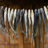 干物・乾物写真4