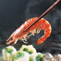 エビの写真