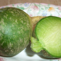 青大根の写真 4