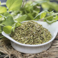 Marjoram 2の写真