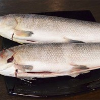 写真：ムクサン5