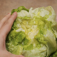 アイスバーグサラダの写真 5