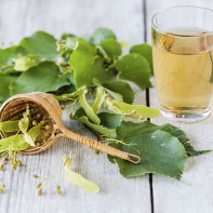 写真：菩提樹茶3