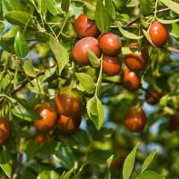 unbuckleberry 4」投稿写真