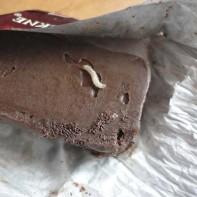 スポイルチョコ4