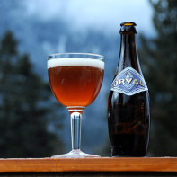 写真：ビール4