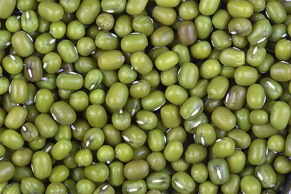 緑豆の興味深い事実