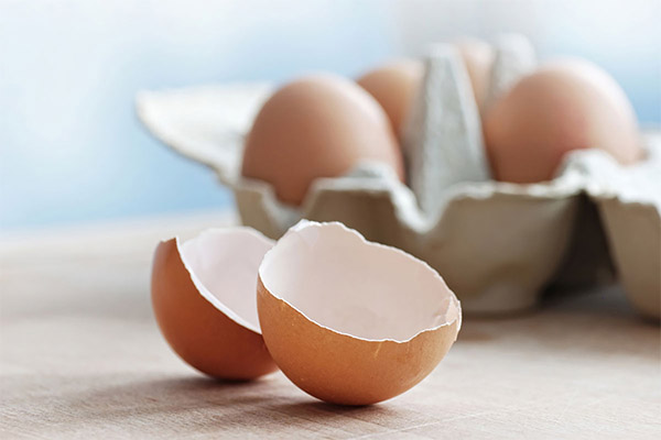 鶏卵の殻の効用