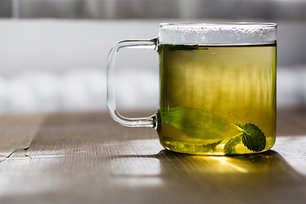 ペパーミントまたはレモンバーム入り緑茶
