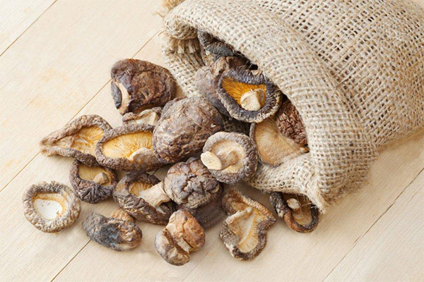 干し椎茸の保存方法