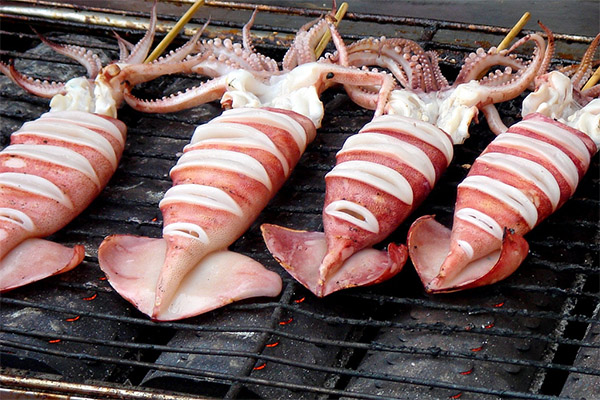 イカの上手な焼き方