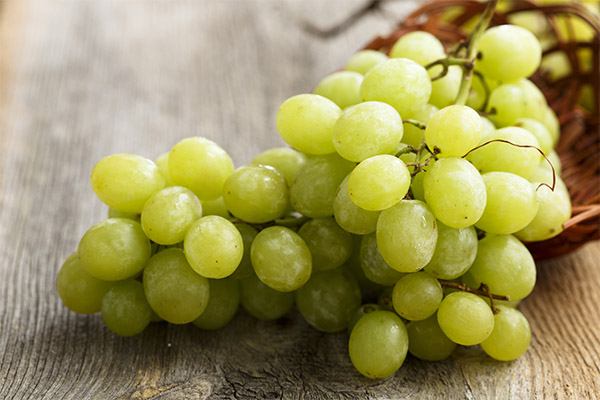 Interesting facts about grapes