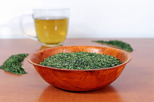 お茶にするイラクサの収穫時期と干し方