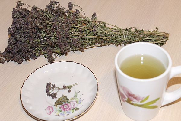 オレガノ茶の有用性