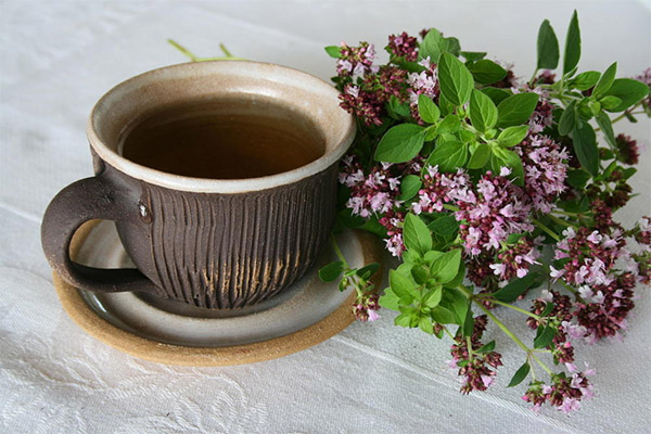 オレガノ茶の効能と弊害について