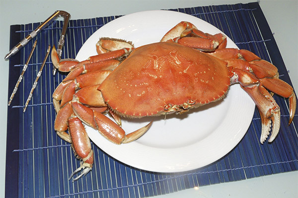 カニの基本情報