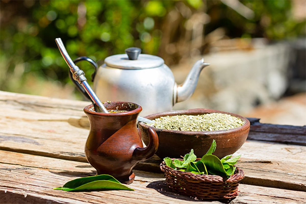 マテ茶の淹れ方と飲み方
