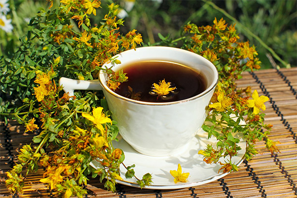 セントジョーンズワートからのお茶の淹れ方