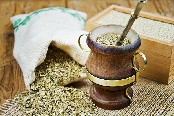 マテ茶の効能