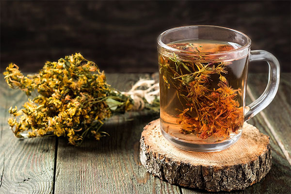 セントジョーンズワート茶の効用と弊害について