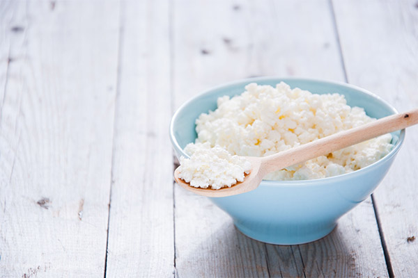 チーズ豆腐の薬効