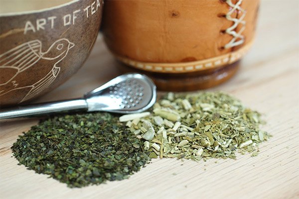 マテ茶の禁忌と有害性