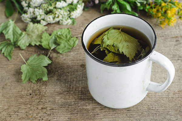 カシスリーフティーの効能と害悪