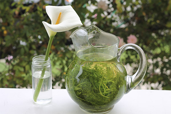 ニンジン茎茶