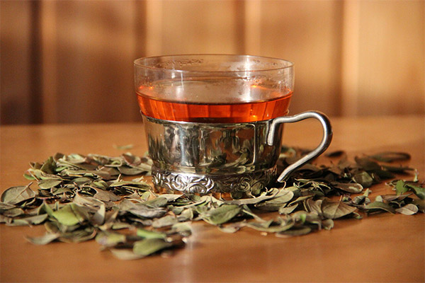 コケモモの葉茶の効能と害について