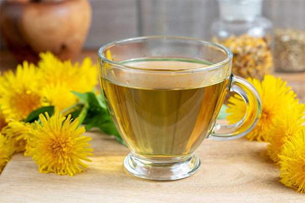 タンポポ茶の効用と弊害について