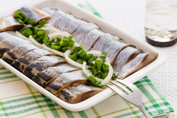 ニシンの塩漬けの有用性とは？