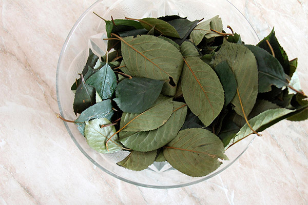 桜の葉を使った薬用組成物の種類