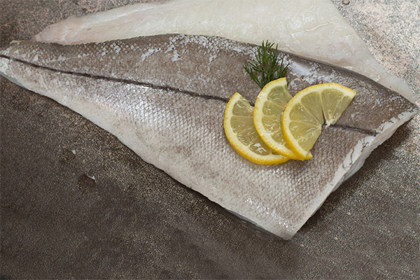 魚のハドックが体に良い理由