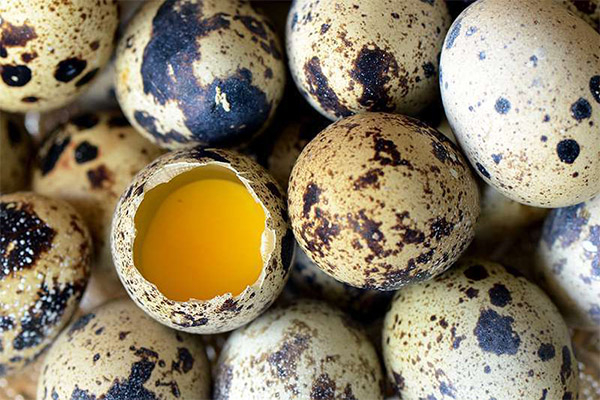 大腸炎で食べられるもの、食べられないもの