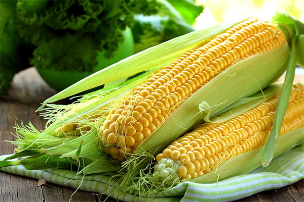 痛風で食べていい野菜と悪い野菜は？