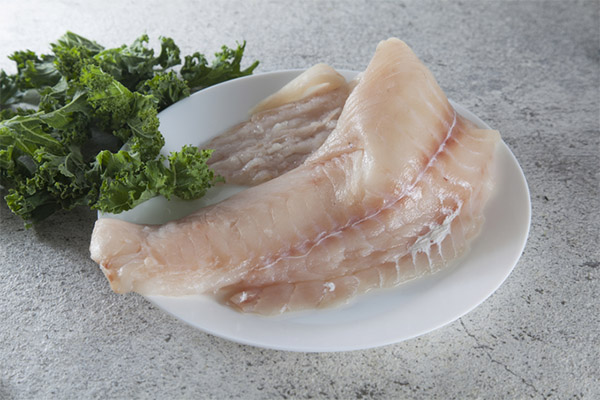 膵炎でハドックを食べても大丈夫ですか？
