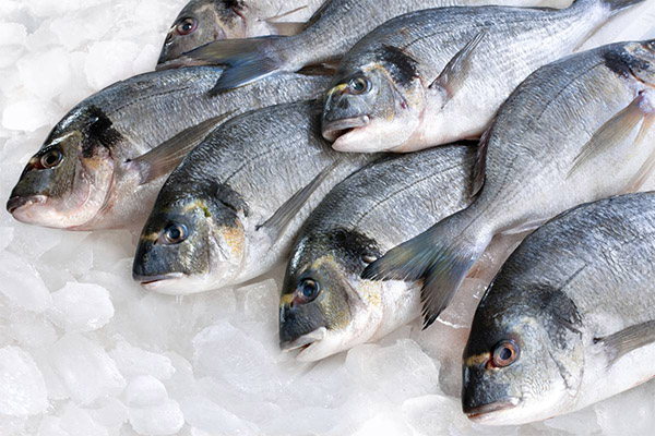 魚の解凍を早く、正しく行う方法