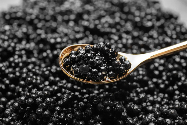 ブラックキャビアの召し上がり方・食べ方