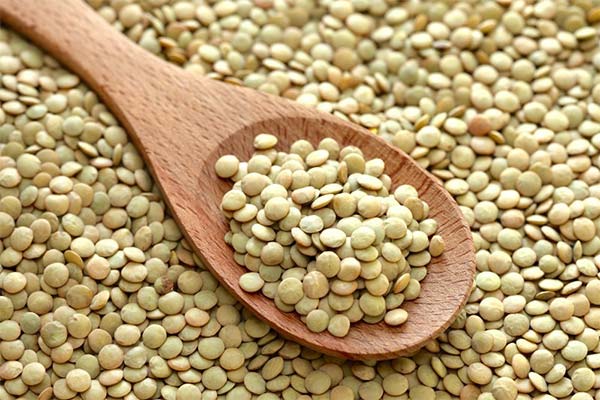 授乳中のレンコンの正しい食べ方とは？