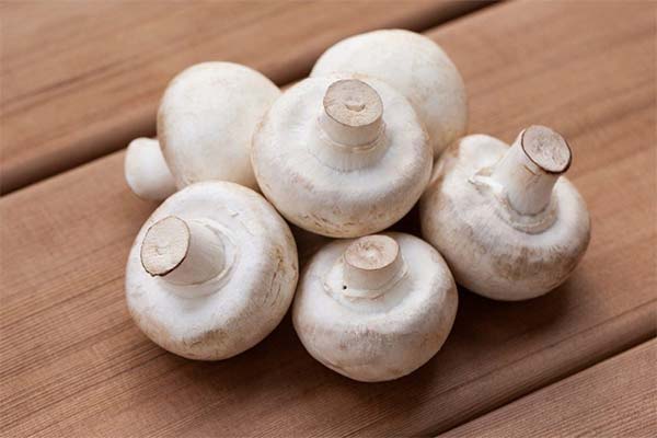 母乳育児中の母親の食事にきのこを正しく取り入れる方法。