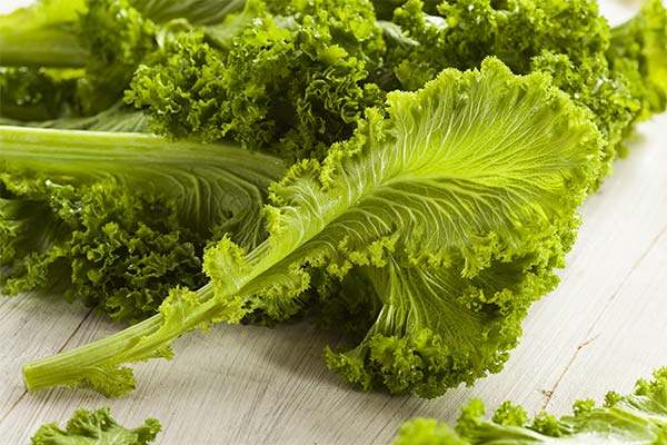 からし菜の効用と弊害