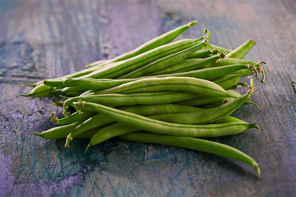母乳育児中のインゲン豆