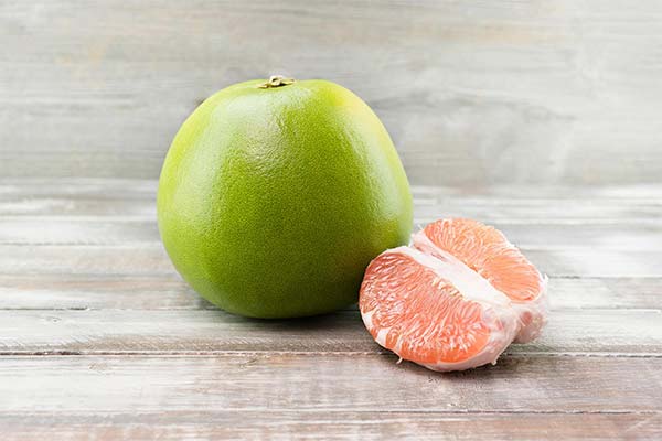 ポメラニアンの用途は？