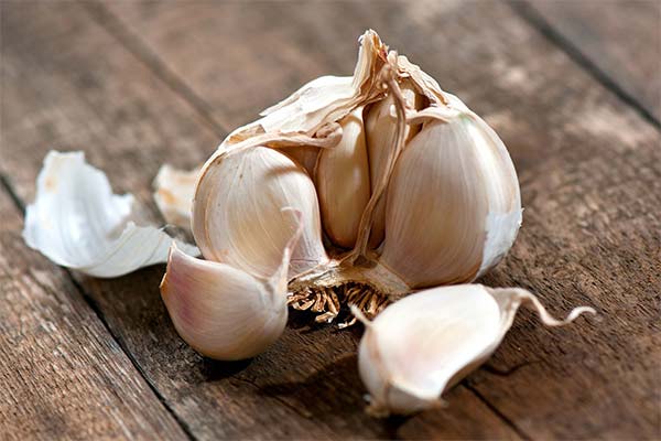 糖尿病でもニンニクを食べられるの？